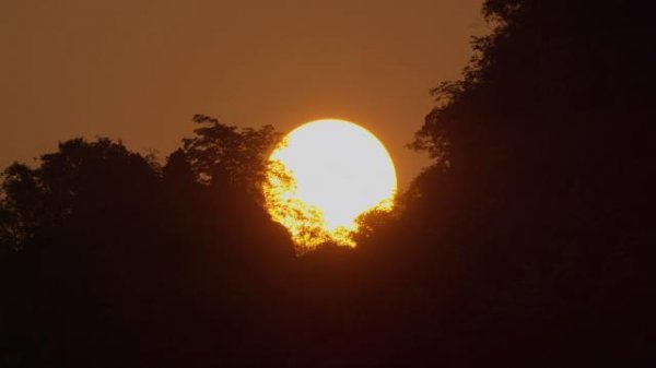232709s8sp89vjk84svjh5.jpg