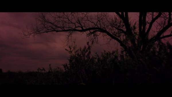 224009bmcc2eecev0zd8cd.jpg