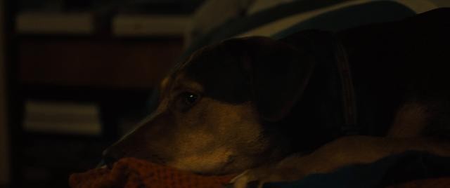 113008vb6ml1n3jb3zmmo6.jpg