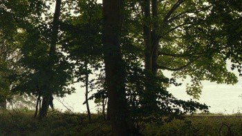151036fnmdp1n6bp6ojz3p.jpg