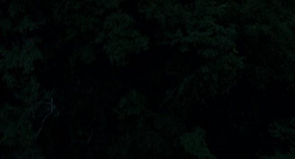 114705qty9vvibtzq3cbhq.png